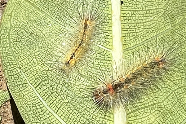 srt4mbqasy9bfa79a6c8