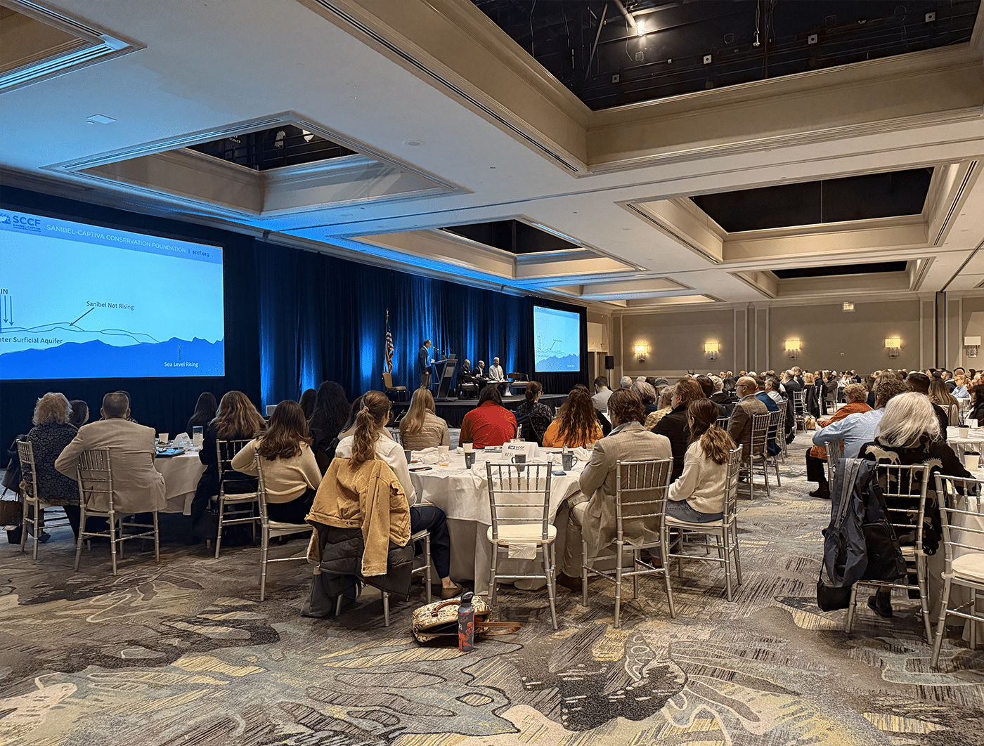 state-of-the-islands-2025