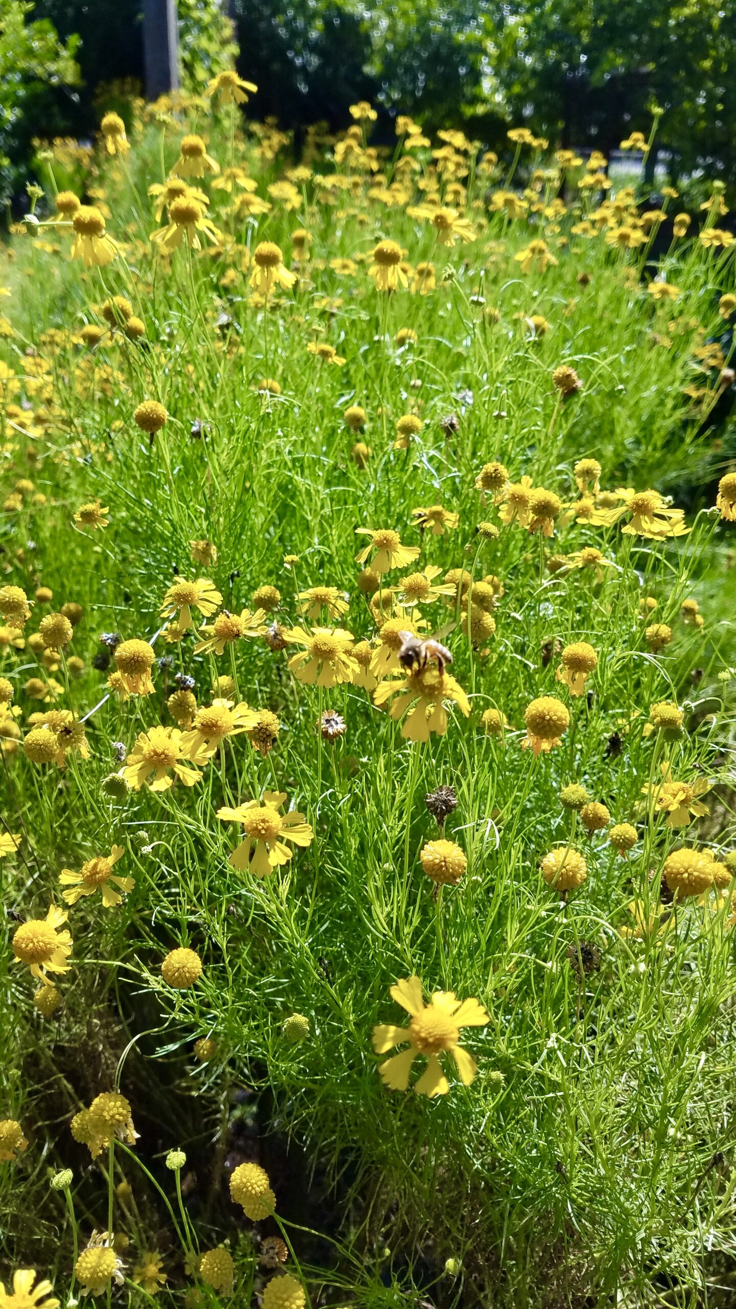 umgeznzlvtqoxtisoz2k