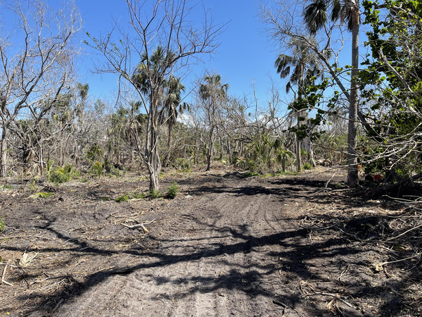 w4azs5ebirckg6jx6cf3