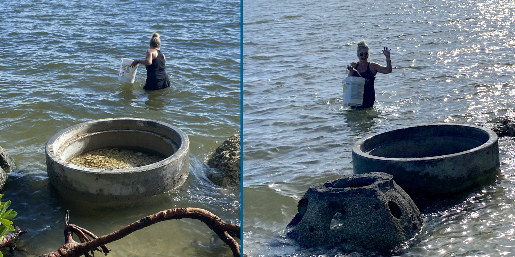 wfoxifdvq7z1lireqgko