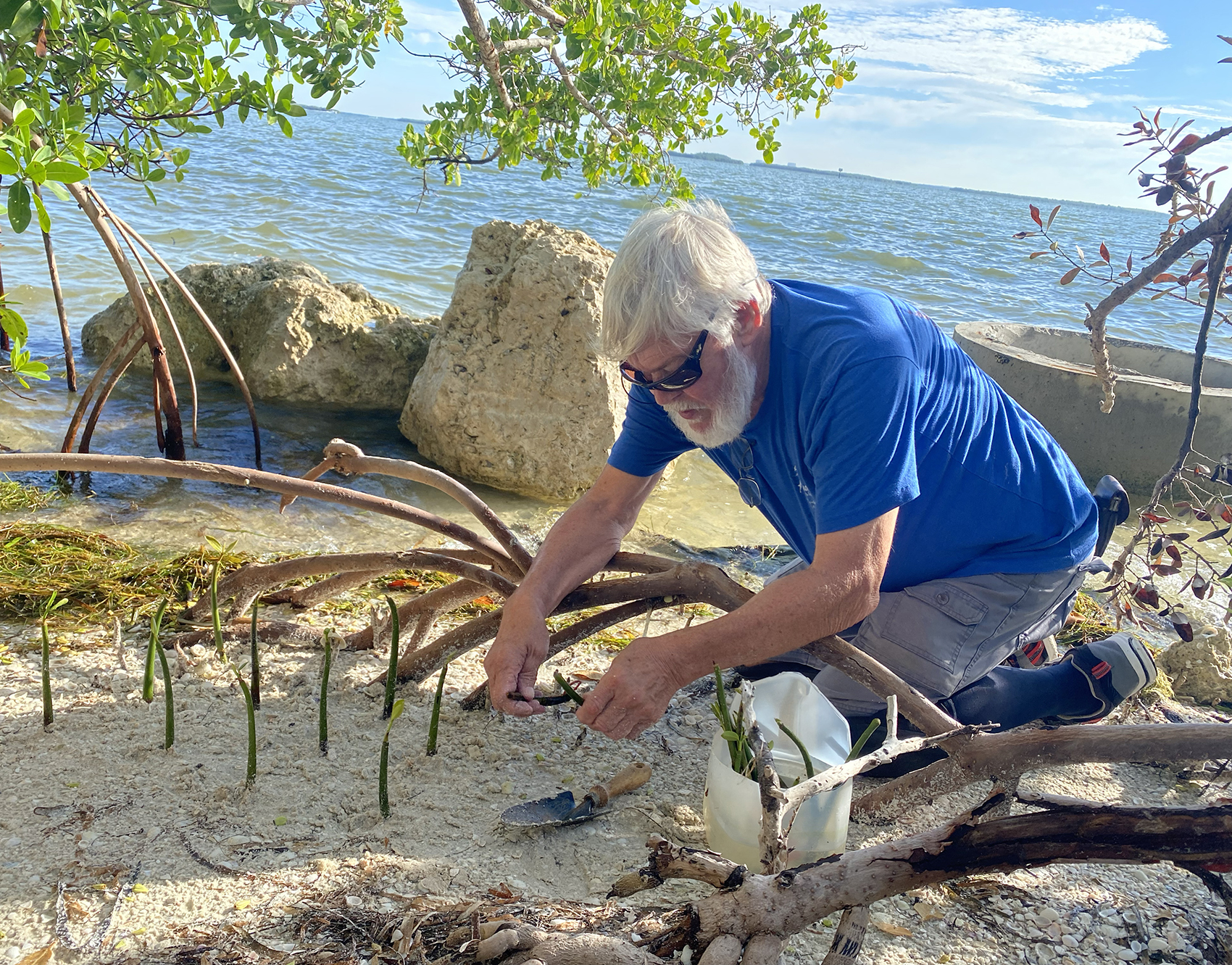 Image of man planting mangroves