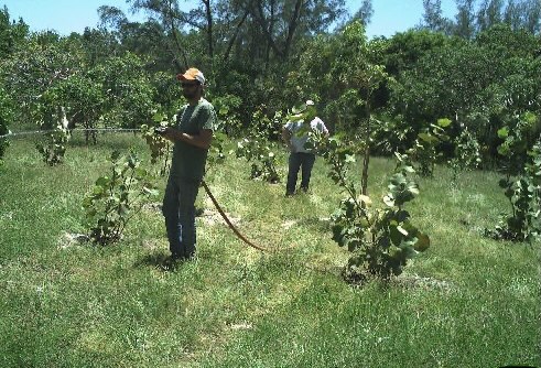 ykiwasahl4l9zi0efyf8