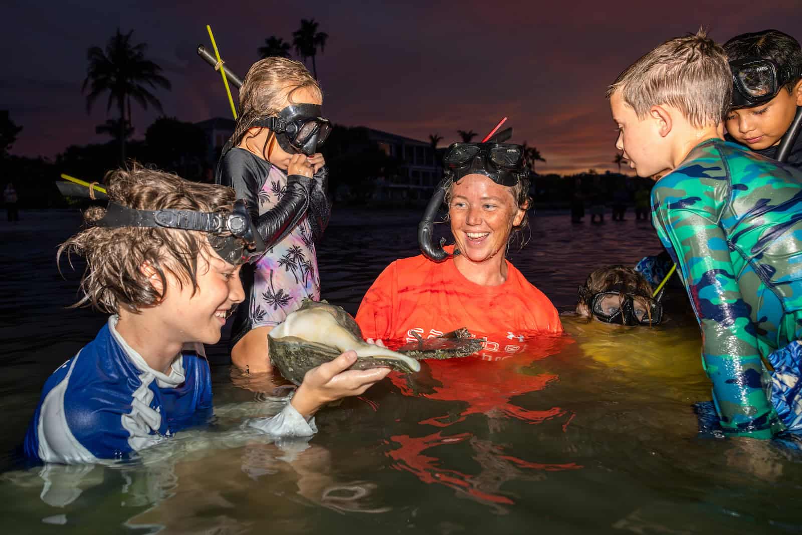 SA226716-Enhanced-NR (1)