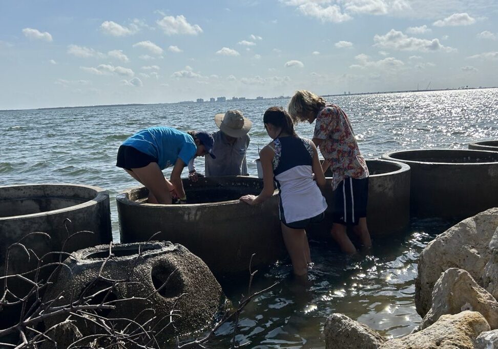 8thgraders-sanibelschool-mangroves3
