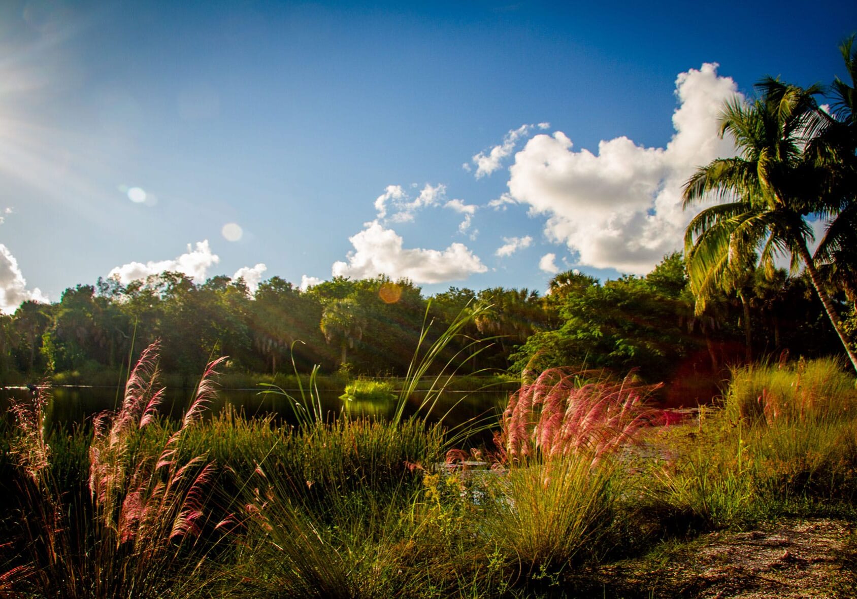 Devitt Pond On Shipley Trail