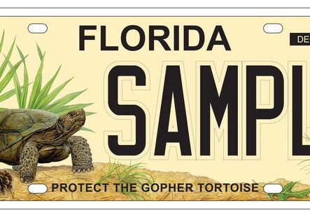 FL-Protect-the-Gopher-Tortoise_10-17-22_SSRG_HiRes_600