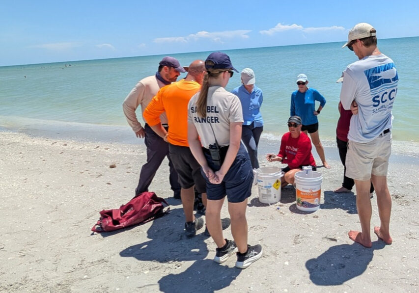 Sanibel Ranger best rsize crop