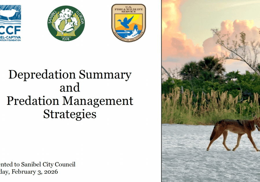 Screen Shot 2026-02-02 at 6.19.53 PM