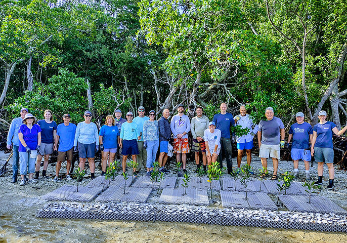 avsziblemjadoaybjxbk