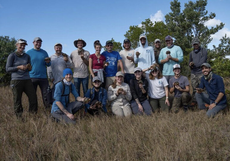 bgefap1o0zd0plttscxw