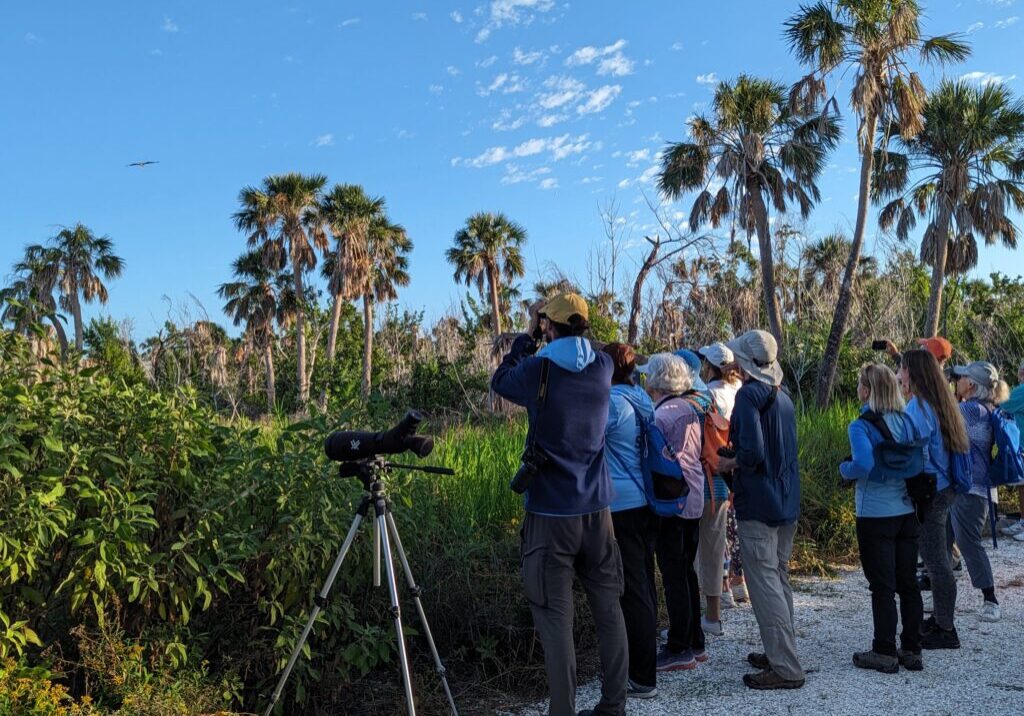 bird walk nov 2023 2