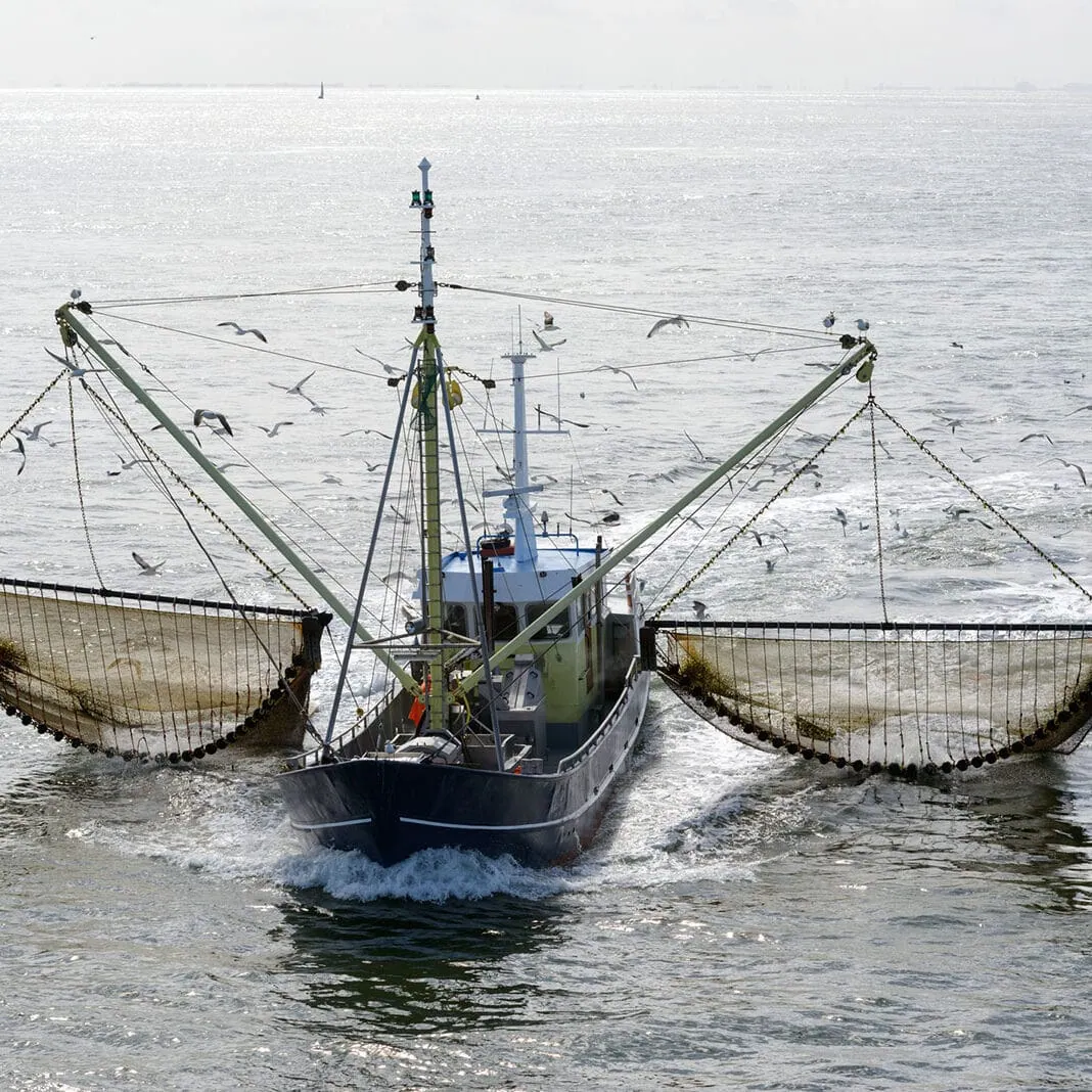Commercial Fishing