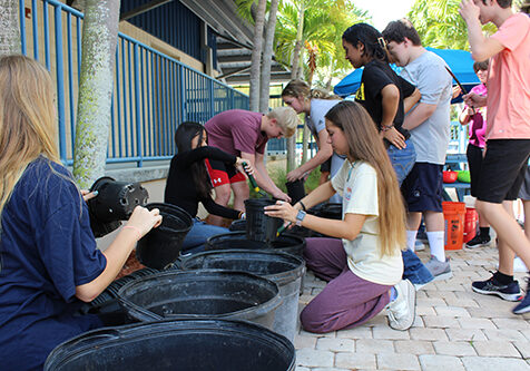 dp3vnmpasqwh052foawd