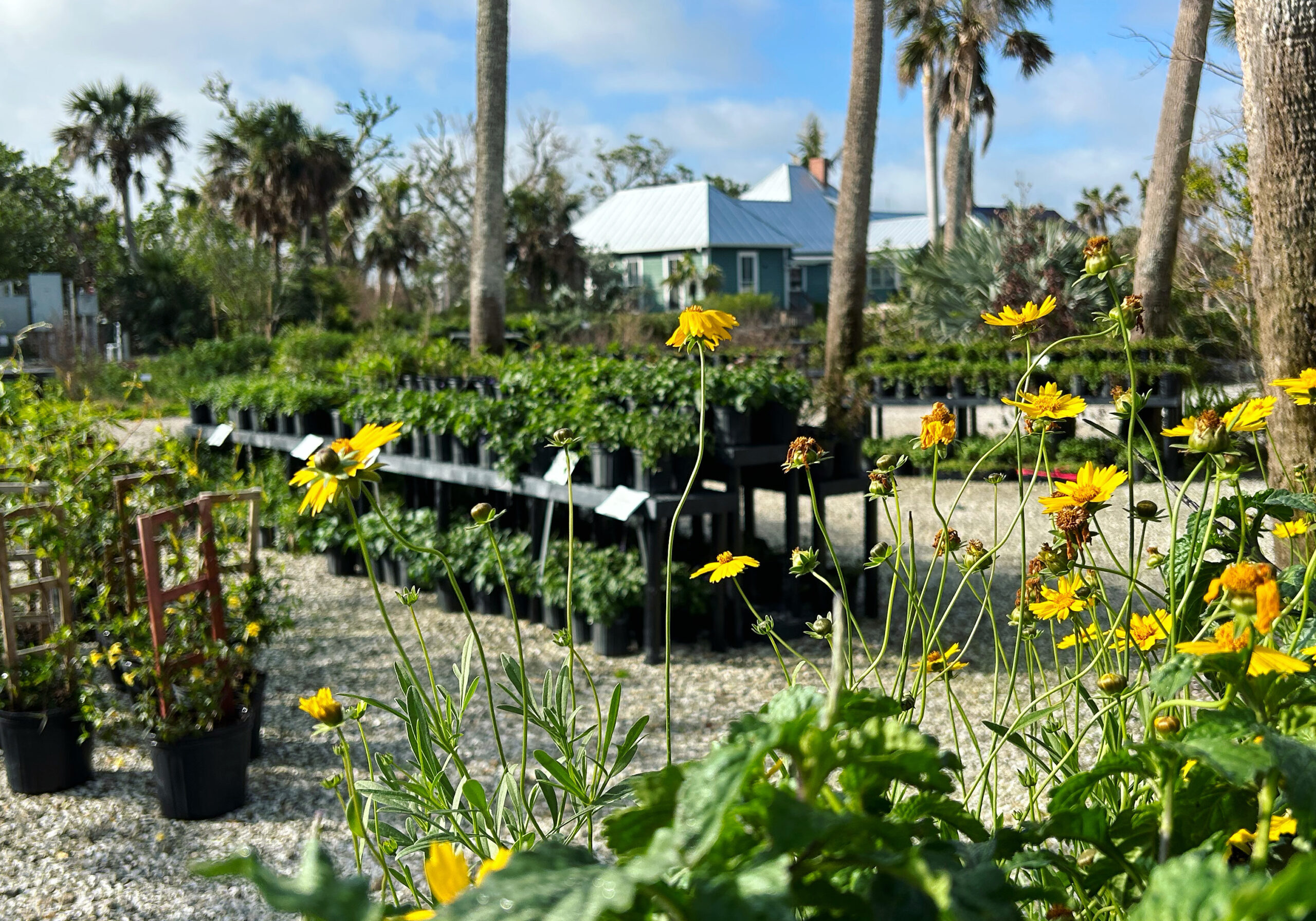 native landscapes and garden center