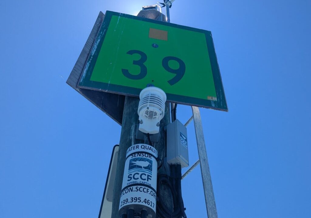 Recon 39 Resize Crop