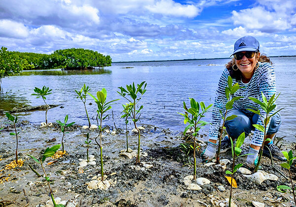 rihpflcd6aktyg1hky4y