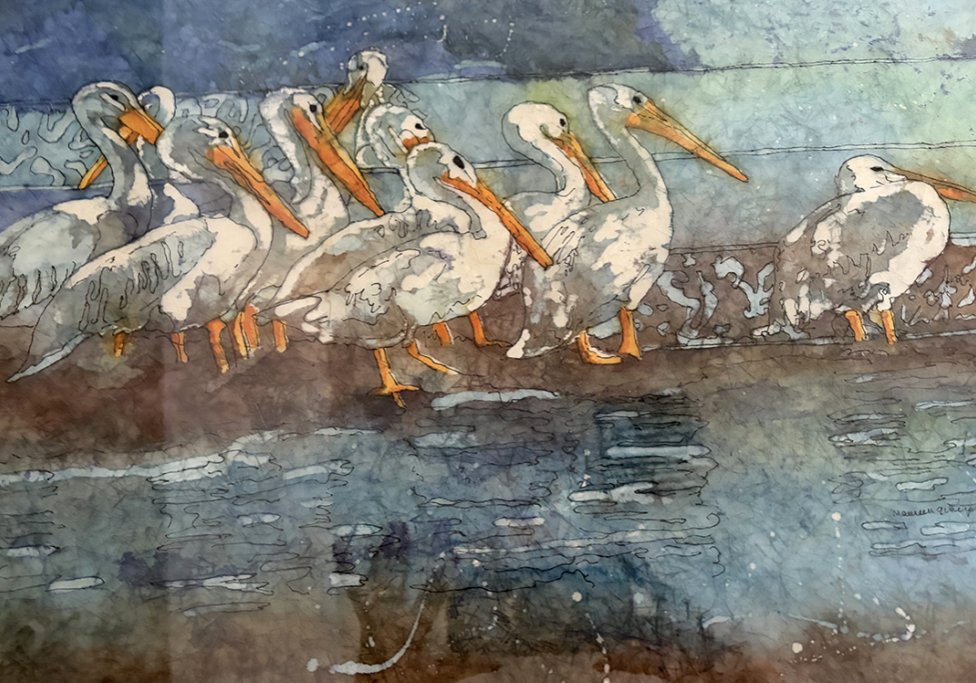 White pelicans by Maureen Ginipro