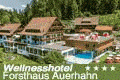 Wellnesshotel Forsthaus Auerhahn