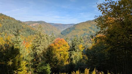 Herbst im Schwarzwald