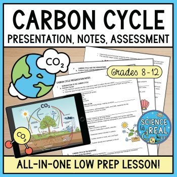 carbon cycle powerpoint