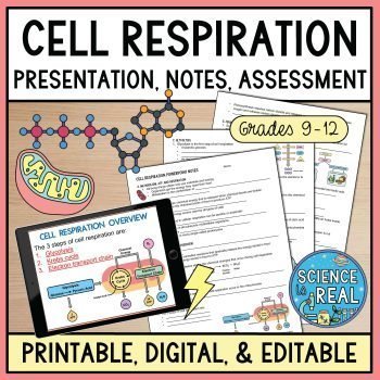 cell respiration powerpoint