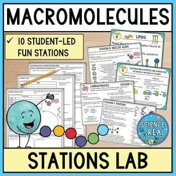 macromolecules stations