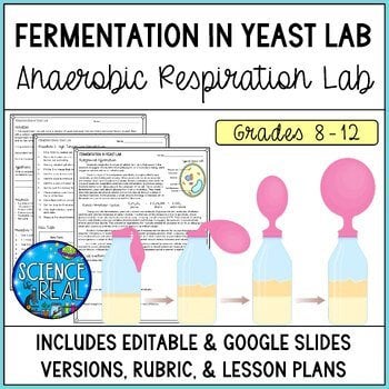 cell respiration lab