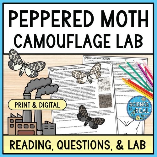 Natural Selection in Peppered Moths Camouflage Lab