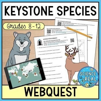 keystone species webquest
