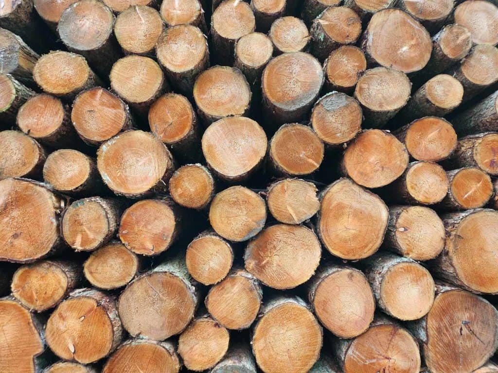 End view of a stack of Scottish Larch logs, waiting sawing at the Scottish Wood sawmill