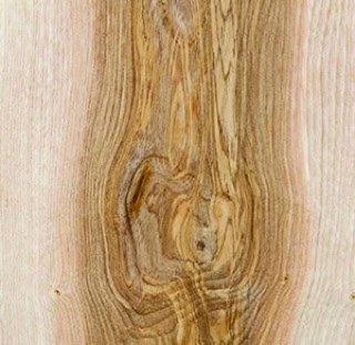 Close up view of Scottish Ash board with darker heartwood and lighter towards the edges
