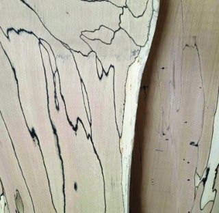 Spalted beech board, light colour with black spalting throughout, homegrown in Scotland