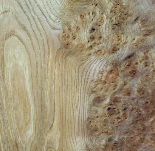 Close up of burry Scottish elm, medium brown in color wit characterful figure
