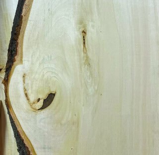 Close up image of Scottish Larch hardwood with a light, creamy hue