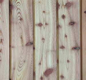 Scottish Larch vertical shadow gap cladding sample