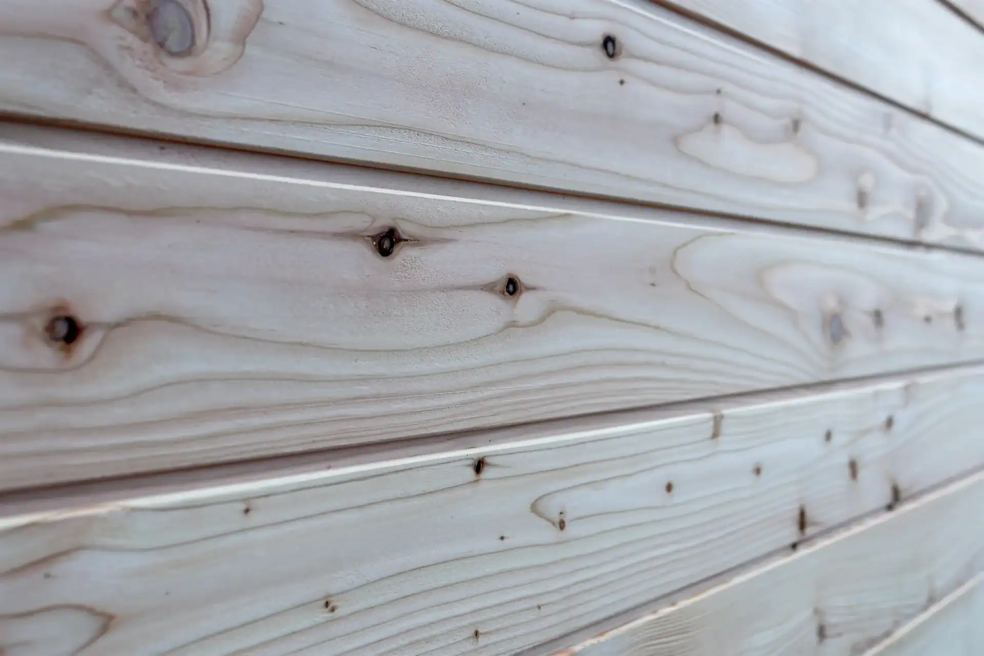 Durable Larch Rounded Panel Cladding, mounted horizontally on a wall