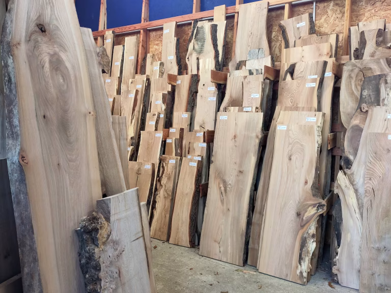 Inside the Scottish Wood timber shop and showroom - hardwood boards of different species line the shelves