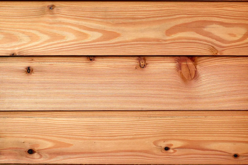 Orange colour larch cladding