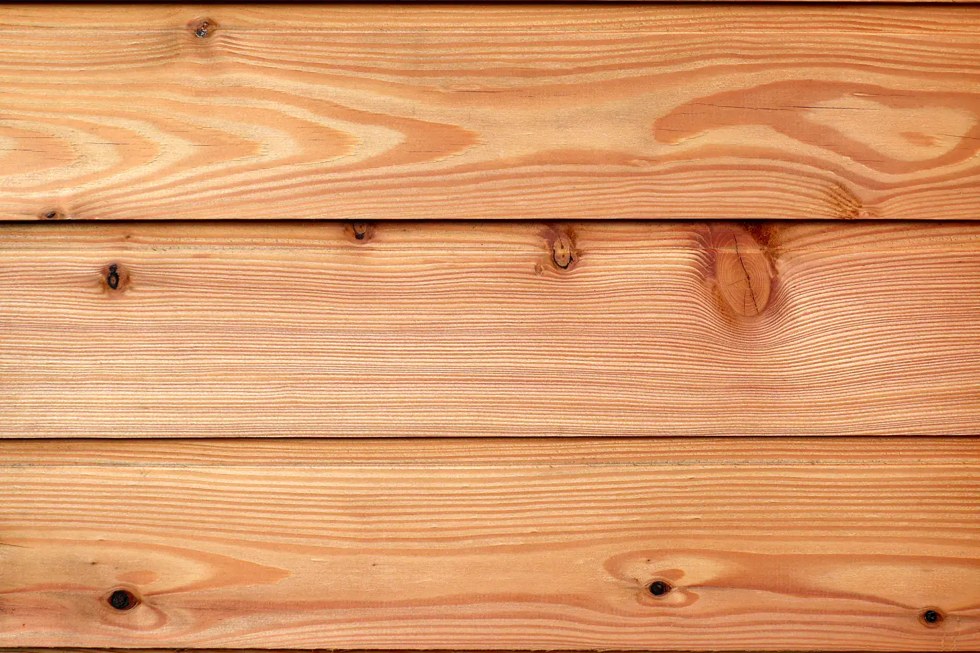Orange colour larch cladding