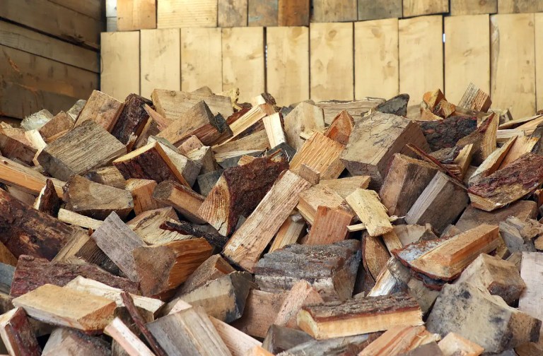 Many firewood logs