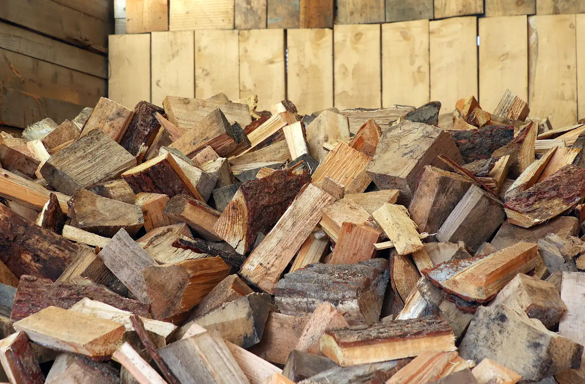 Many firewood logs