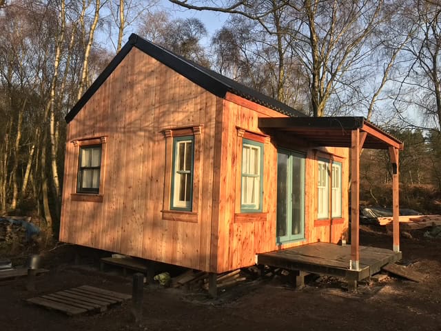 Hut in the woods clad with larch shadow gap cladding
