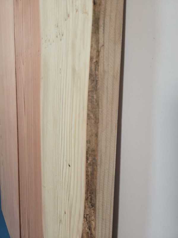 2 Sequoia Boards