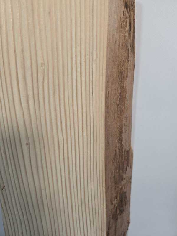 Light Sequoia Offcut