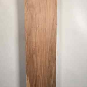 Beech Blank