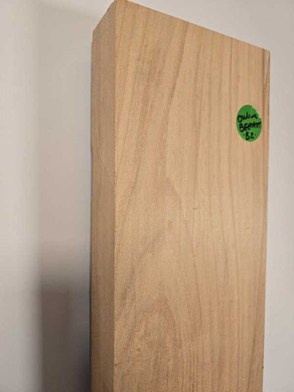Beech Blank