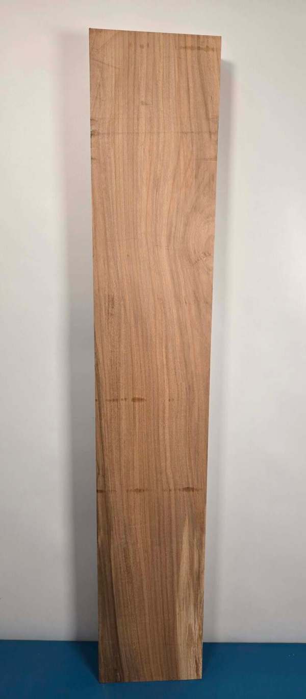 Beech Blank