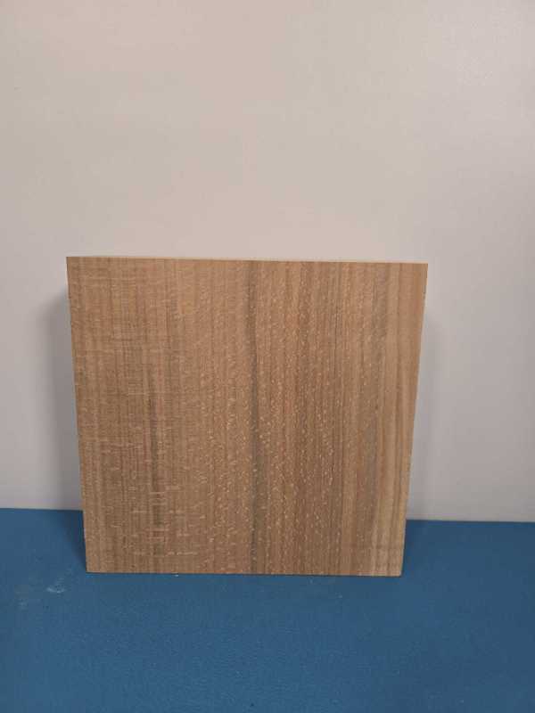Premium Beech Blank