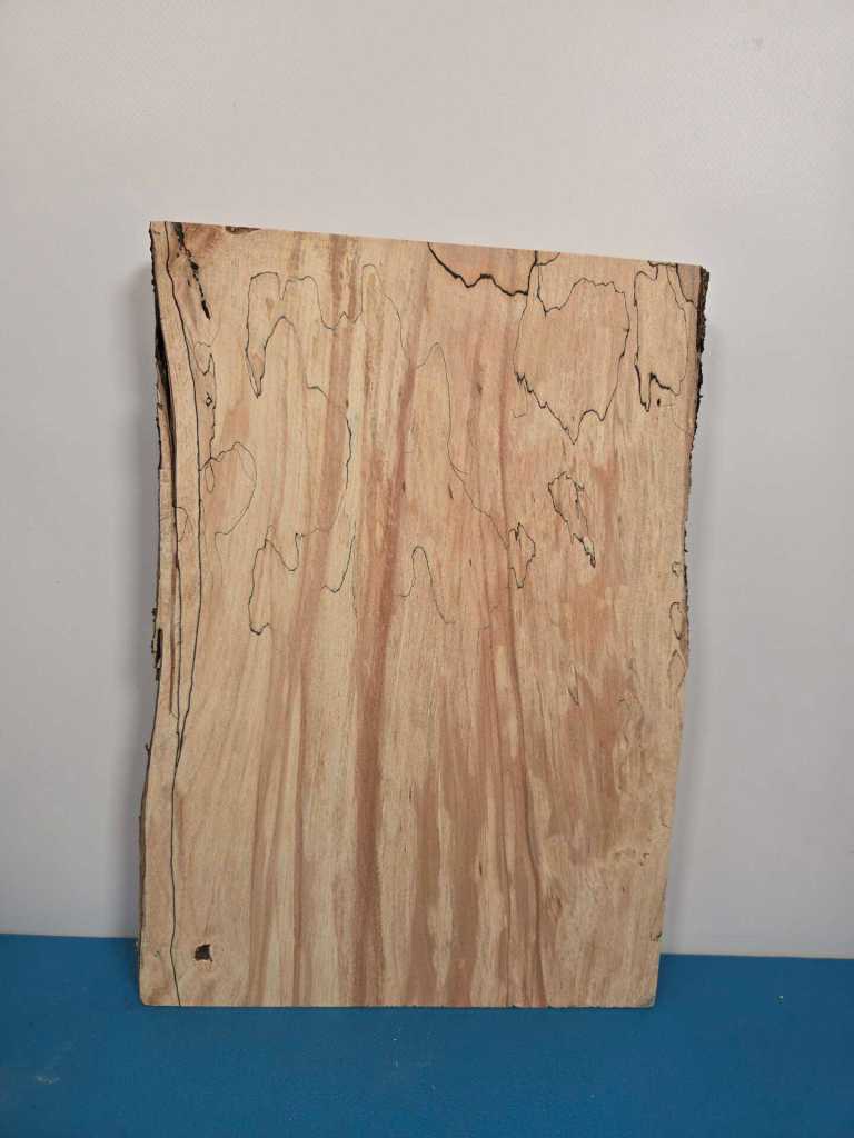 Spalted Beech offcut